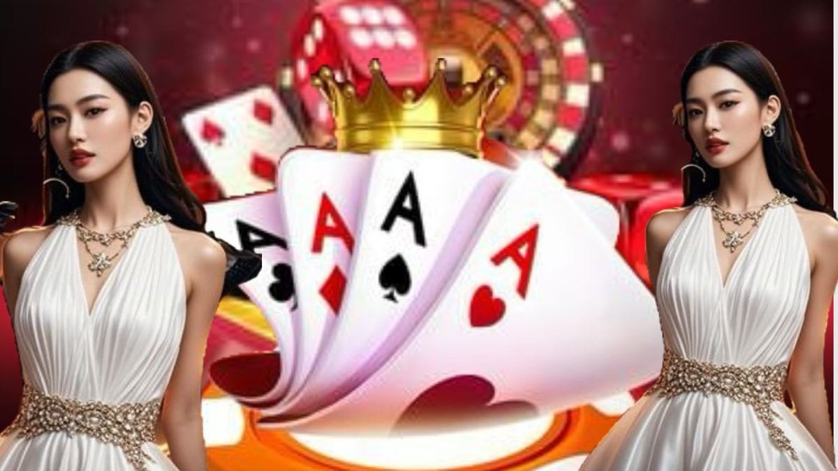 kq cup c1